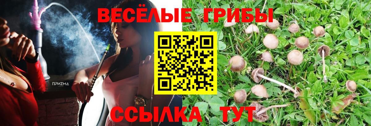 Галлюциногенные грибы Cubensis Добрянка